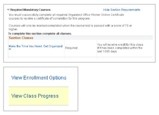 Section Classes