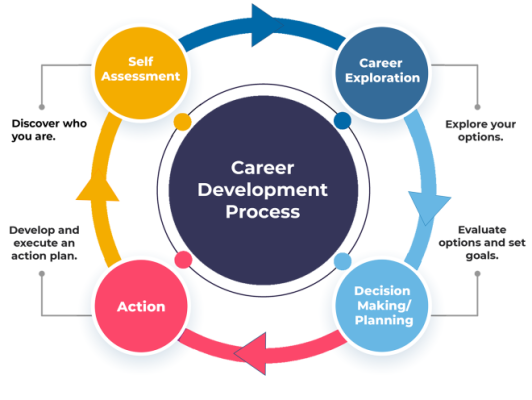 Career Development Process Infographic